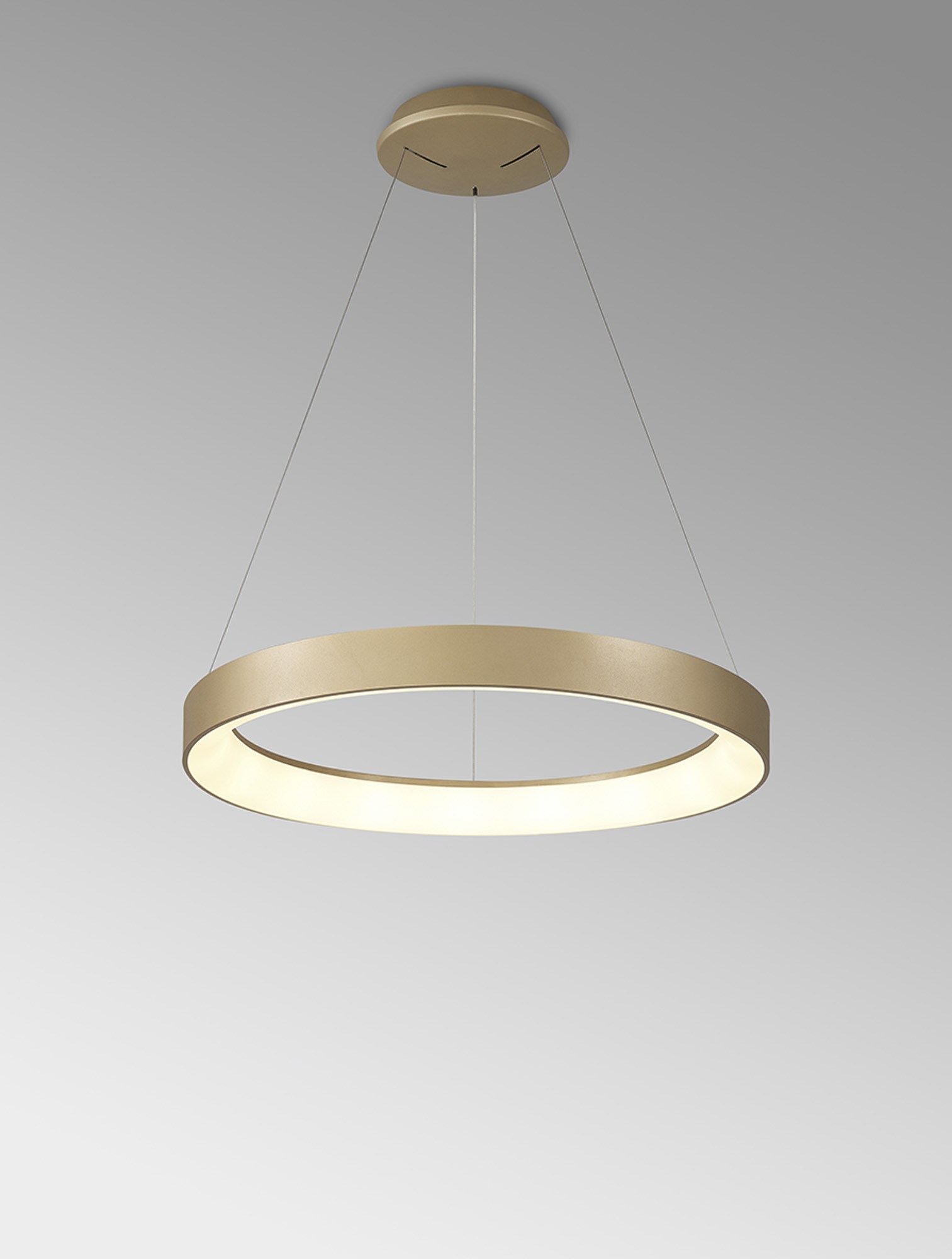 Niseko II Gold Ceiling Lights Mantra Ring Pendants